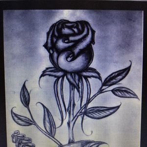 Meet your Posher, Noe